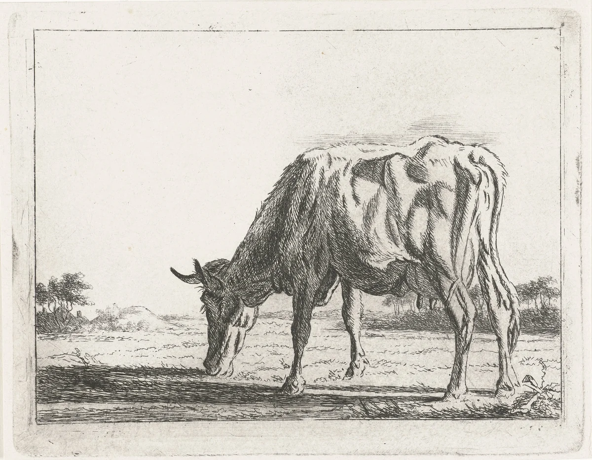 Grazende koe by Jacobus Cornelis Gaal, print, 1854