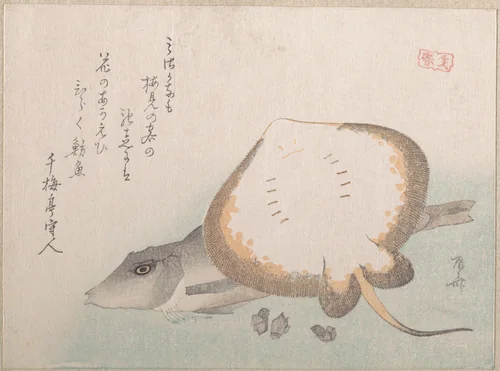 Stingray and Gurnard by Ryūryūkyo Shinsai (柳々居辰斎), print, 1815