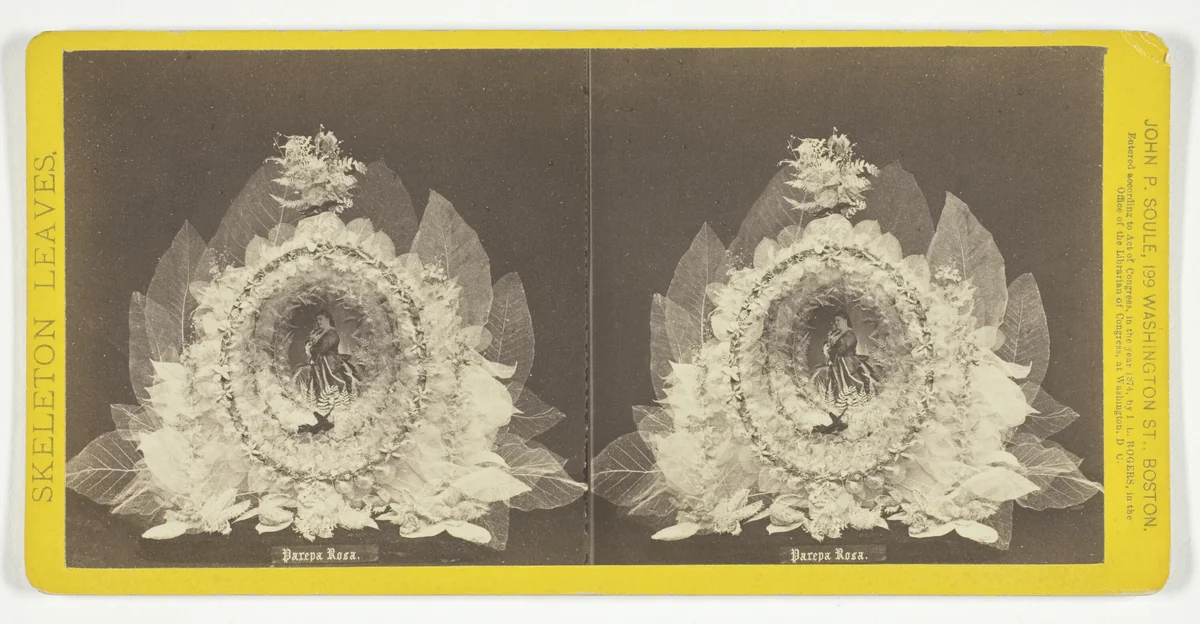 Parepa Rosa, from the series "Skeleton Leaves" by John P. Soule, photograph, 1874