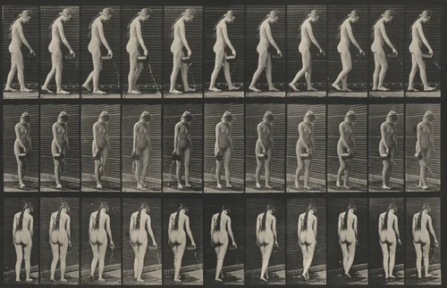 Plate Number 42. Walking and pouring water from a pitcher by Eadweard Muybridge, photograph, 1887