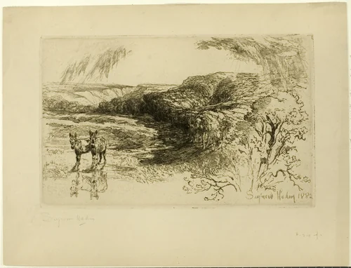 Encombe Woods, No. II by Francis Seymour-Haden, print, 1882