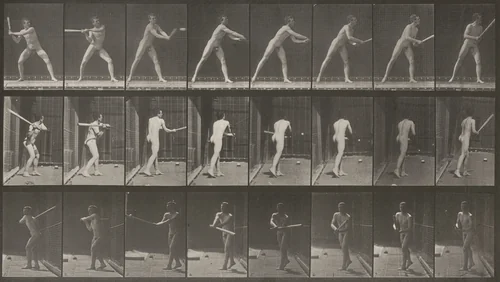 Plate Number 277. Baseball, batting by Eadweard Muybridge, photograph, 1887