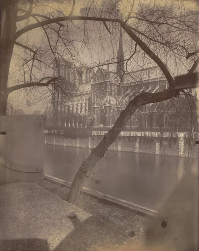 Notre-Dame by Eugène Atget, photograph, 1927
