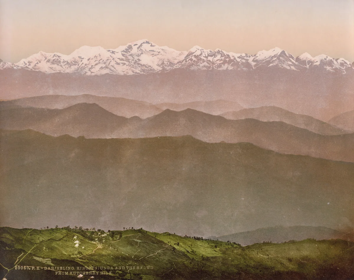Darjeeling. Kinchinjunga and the Snows from Kutcherry Hill by Photoglob Co., photograph, 1890