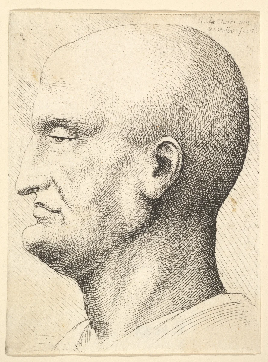 Head of a bald man in profile to left by Wenceslaus Hollar, print, 1644-1652