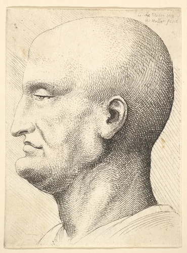 Head of a bald man in profile to left by Wenceslaus Hollar, print, 1644-1652