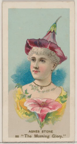 Agnes Stone as "The Morning Glory," from the series Fancy Dress Ball Costumes (N73) for Duke brand cigarettes by W. Duke, Sons & Co., print, 1889