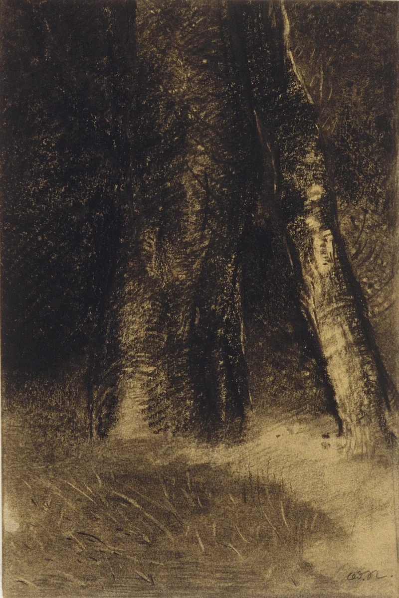 Sketch of Trees by Odilon Redon, drawing, 1890-1899