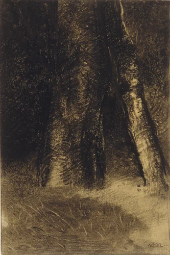 Sketch of Trees by Odilon Redon, drawing, 1890-1899