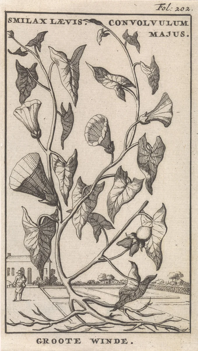 Titelpagina en acht prenten met bloemen by Caspar Luyken, print, 1698