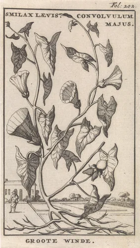 Titelpagina en acht prenten met bloemen by Caspar Luyken, print, 1698
