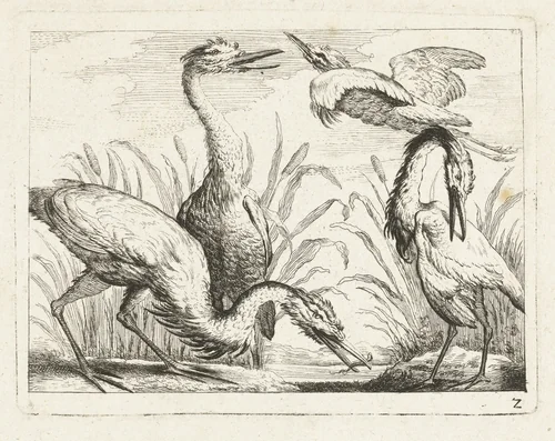 Reigers bij een plas by anonymous, print, 1700-1749