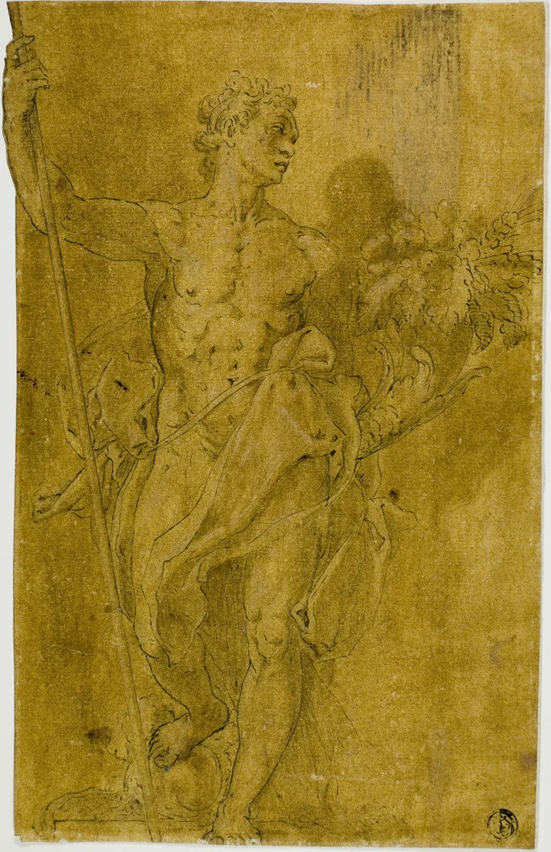 Study for Male Allegorical Figure by Taddeo Zuccaro, drawing, 1549-1566