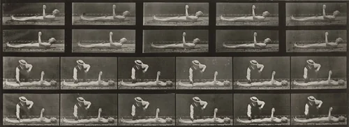 Plate Number 556. Local chorea, lying down by Eadweard Muybridge, photograph, 1887