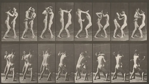 Plate Number 341. Boxing, open hand by Eadweard Muybridge, photograph, 1887