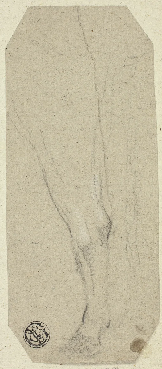 Cow's Leg by Unknown Artist, drawing, 1800-1899