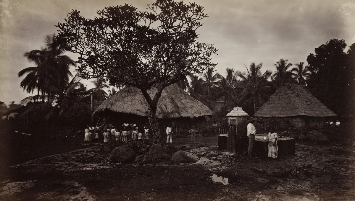 Fountain, Retalhuleu by Eadweard Muybridge, photograph, 1875