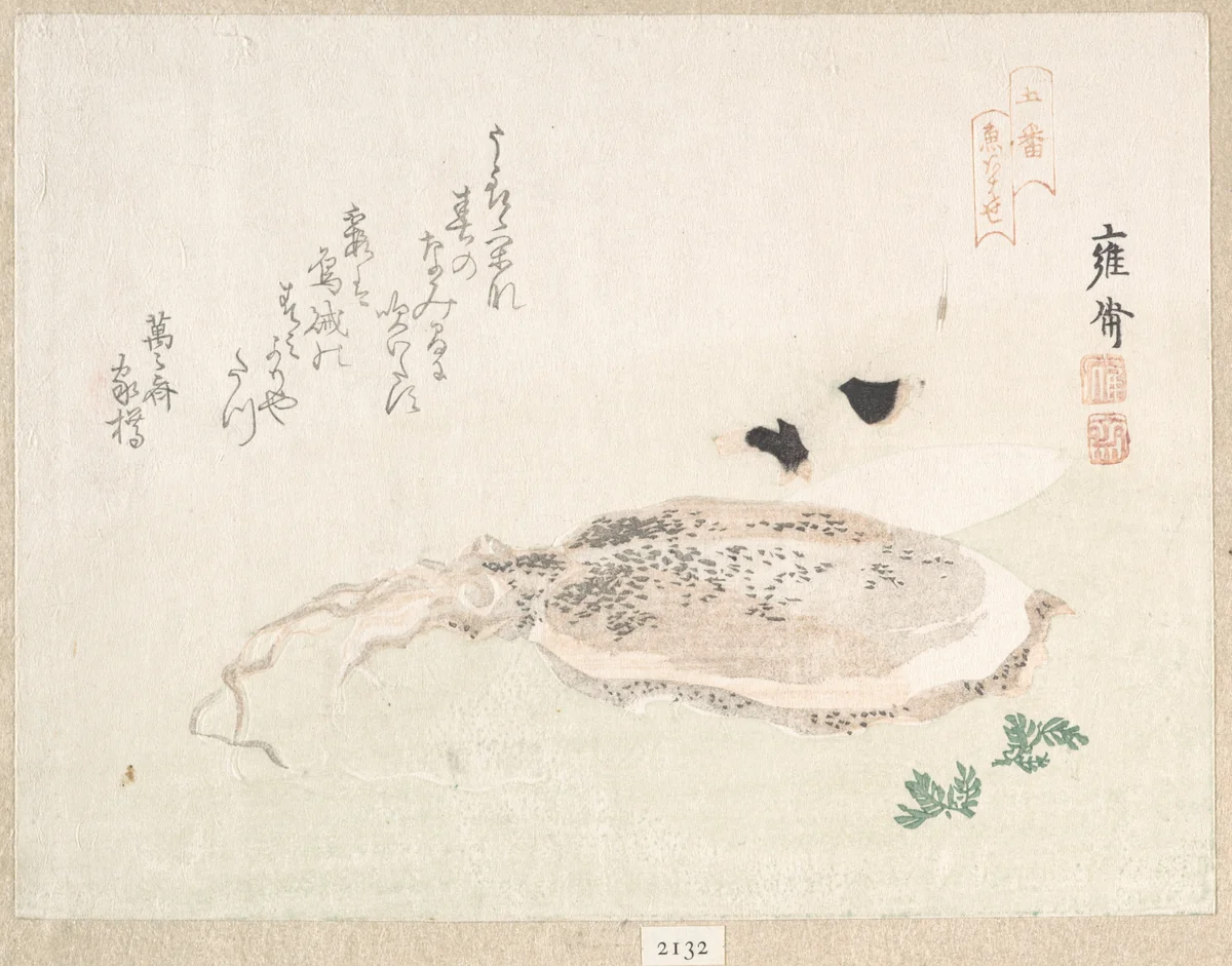 Cuttle Fish by Kikuchi Yōsai, print, 1800-1833