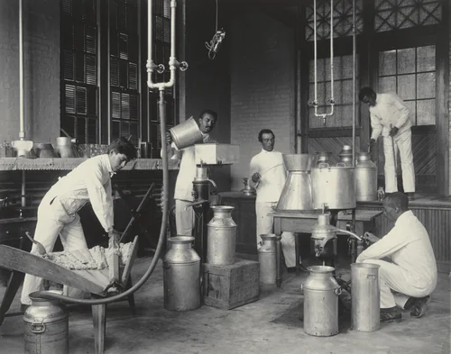 Agriculture. Butter-making by Frances Benjamin Johnston, photograph, 1899