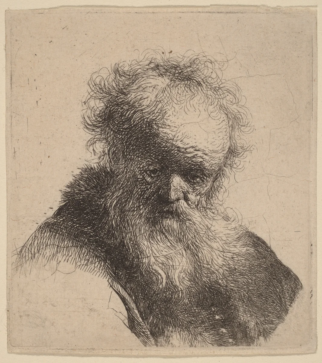 Bust of an Old Man with Flowing Beard and White Sleeve by Rembrandt van Rijn, print, 1630
