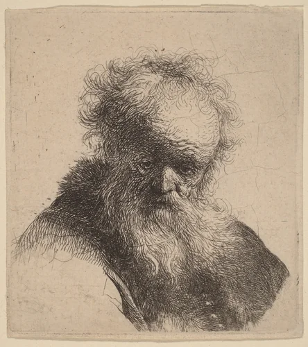 Bust of an Old Man with Flowing Beard and White Sleeve by Rembrandt van Rijn, print, 1630
