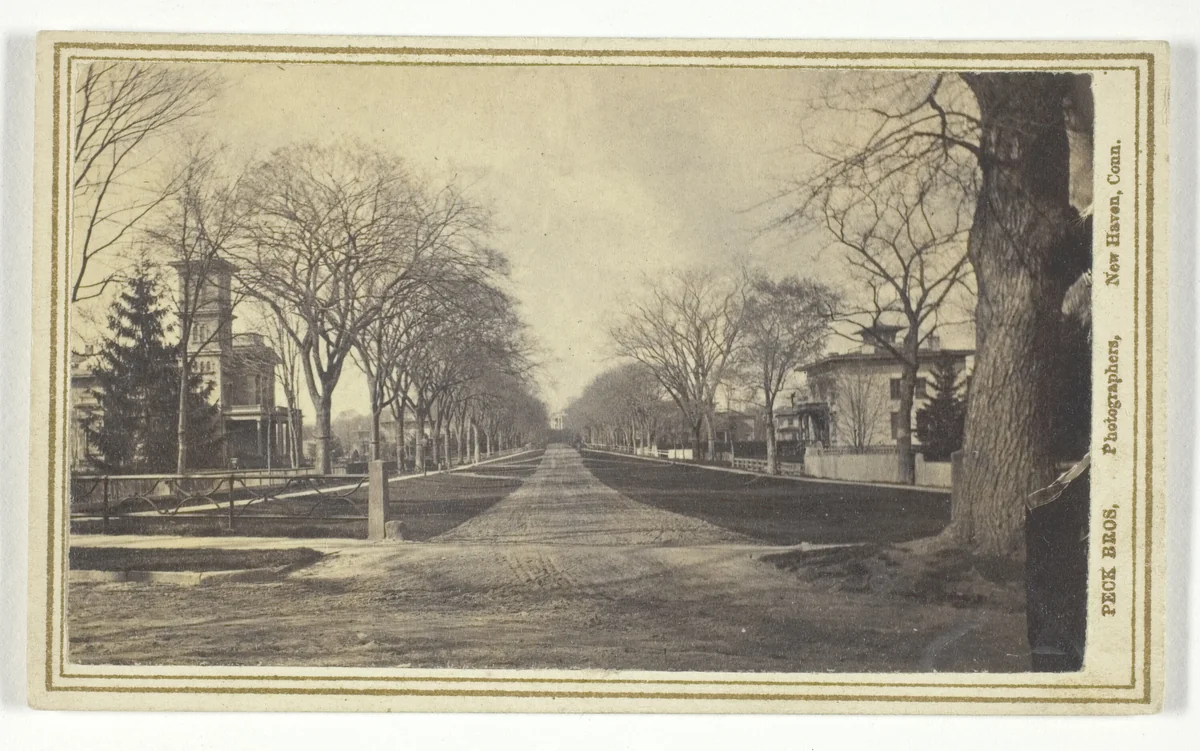 Hillhouse Avenue by Peck Brothers, photograph, 1840-1899