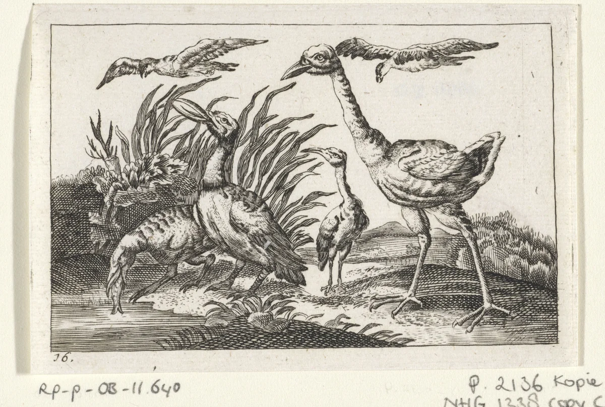 Watervogels by anonymous, print, 1654-1712