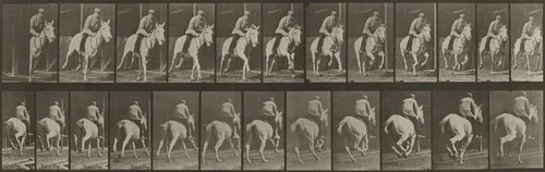 Plate Number 635. "Pandora" galloping, saddled by Eadweard Muybridge, photograph, 1887