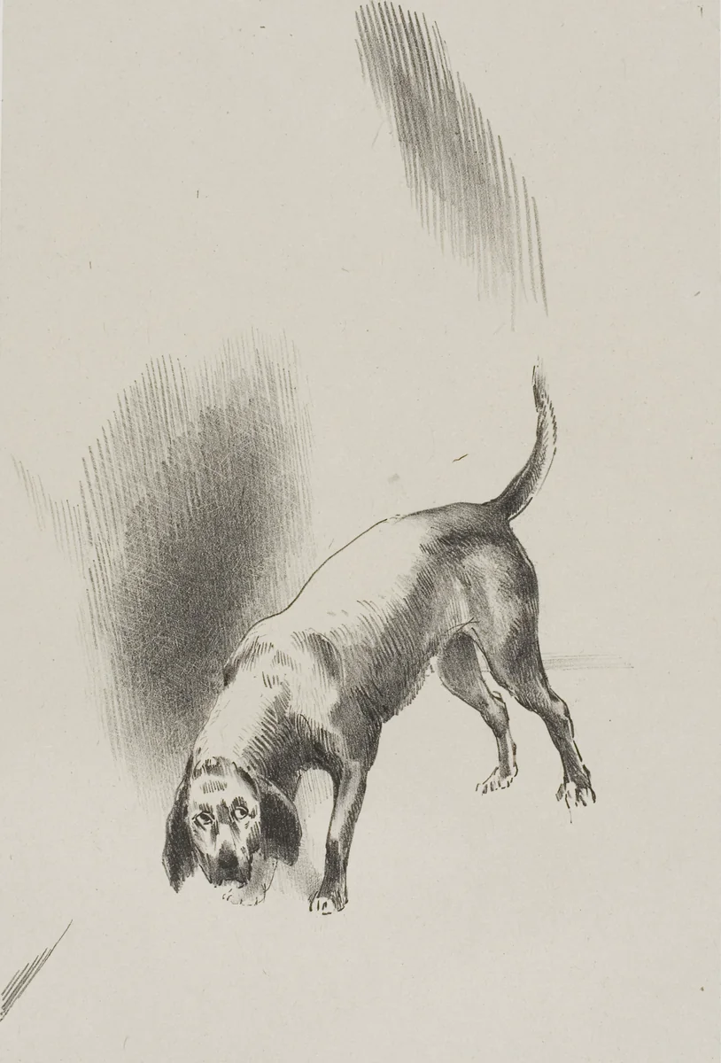 He [The Narrator's Dog] Kept His Eyes Fixed on Me With a Look So Strange, plate 3 of 6 by Odilon Redon, print, 1896