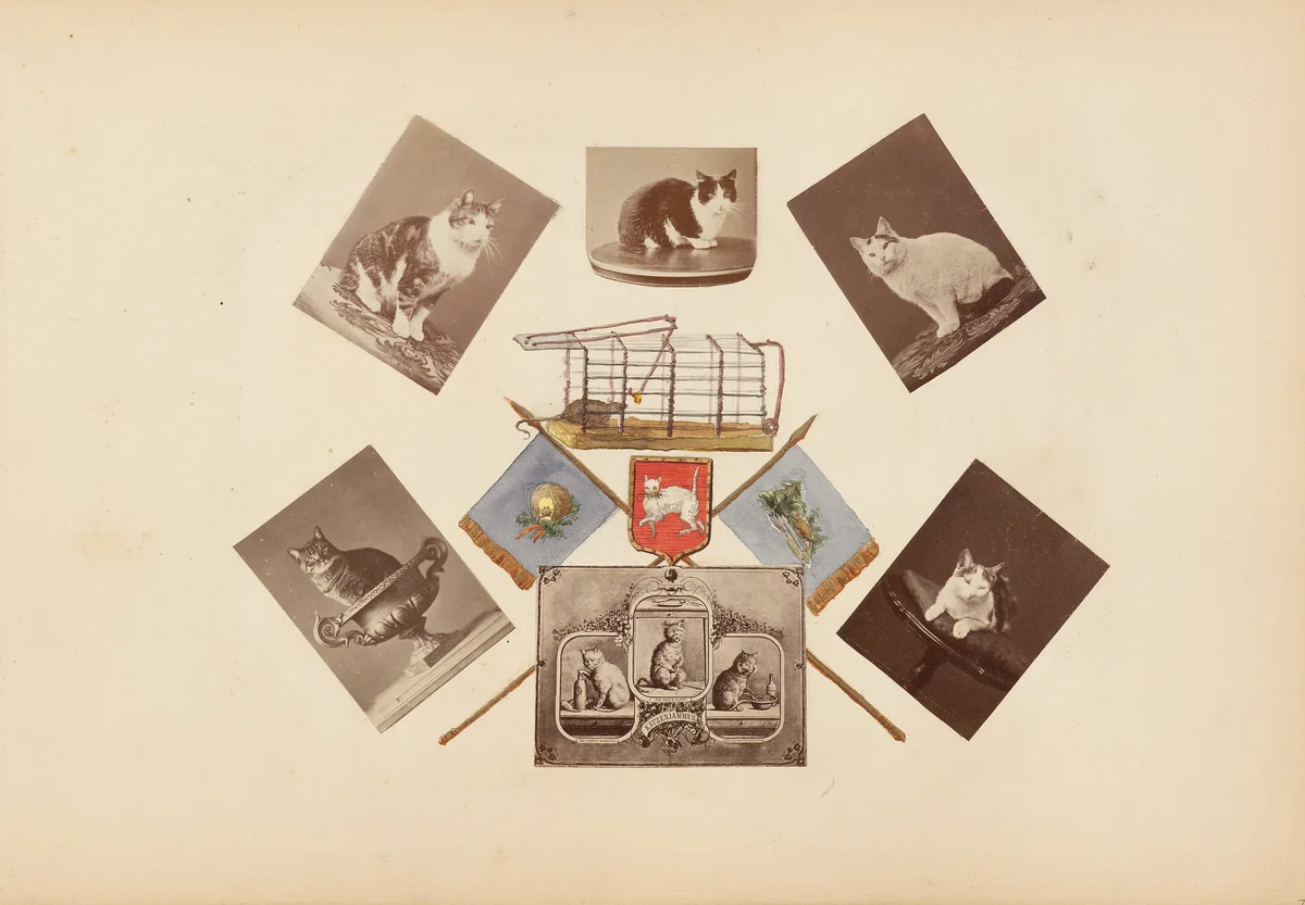 The Madame B Album by Marie-Blanche Hennelle Fournier, photograph, 1870-1879