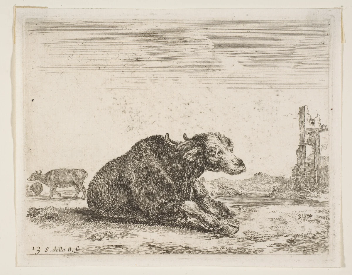 Buffalo lying down, plate 13 from "Various Animals" (Diversi Animali) by Stefano della Bella, print, 1636-1646