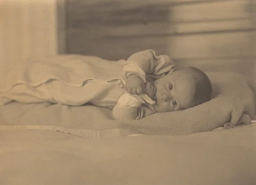 Kitty by Alfred Stieglitz, photograph, 1898