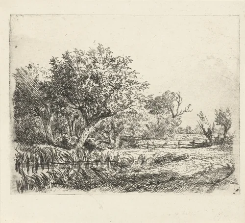 Wilgen bij een poel by Adrianus van Everdingen, print, 1842-1912