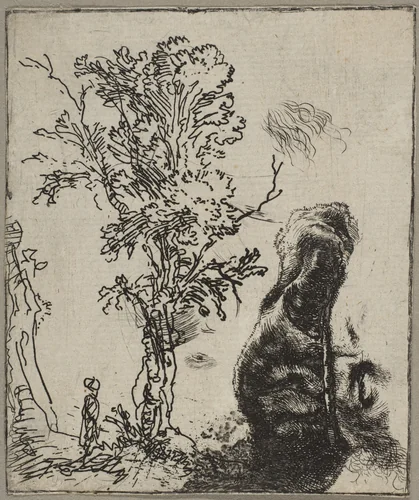 Sheet with Two Studies: A Tree and the Upper Part of a Head of Rembrandt Wearing a Velvet Cap by Rembrandt van Rijn, print, 1637-1647