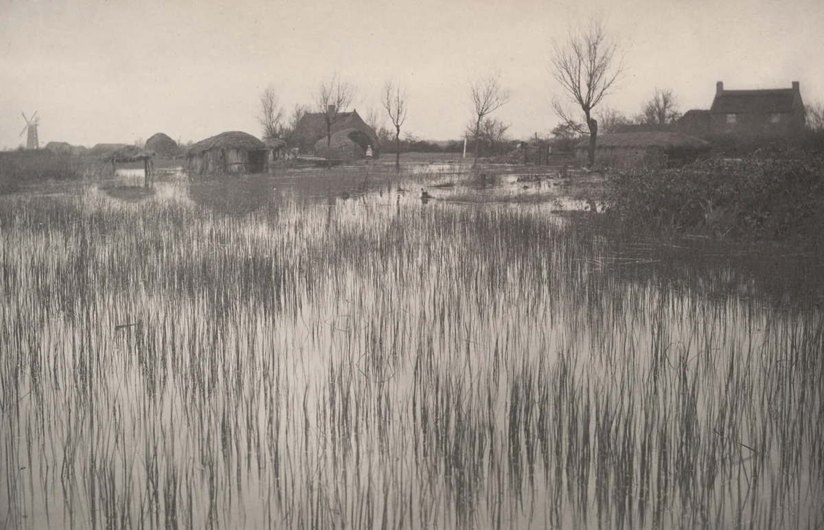 A Rushy Shore from Life and Landscape on the Norfolk Broads (1886) by Peter Henry Emerson, photograph, 1885