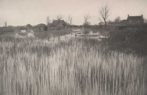 A Rushy Shore from Life and Landscape on the Norfolk Broads (1886) by Peter Henry Emerson, photograph, 1885