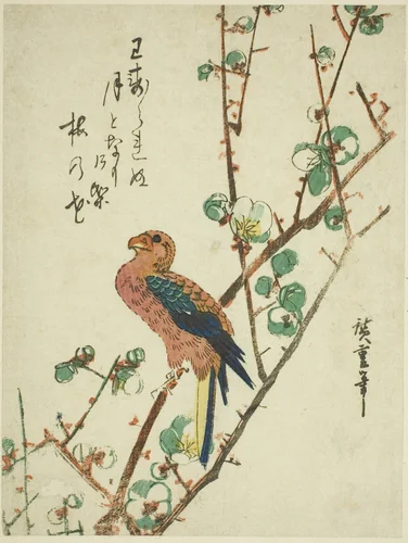 Parrot on plum tree by Utagawa Hiroshige (歌川広重), print, 1830-1839