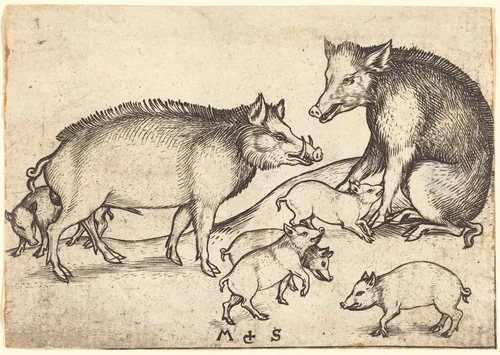 Family of Pigs by Martin Schongauer, print, 1480-1490