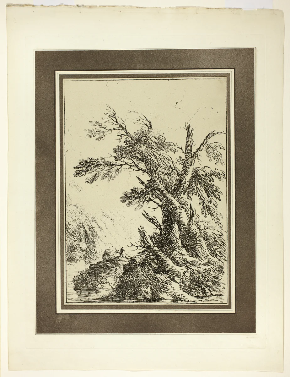 Landscape with Old Trees by Water, from the first issue of Specimens of Polyautography by Philipp André
James Heath, print, 1803