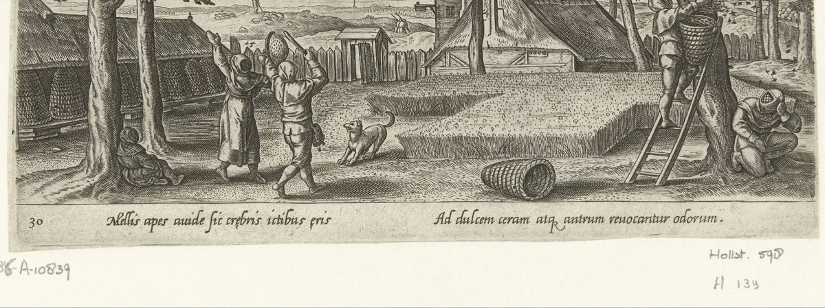 Bijenteelt by Unknown, print, 1582-1633