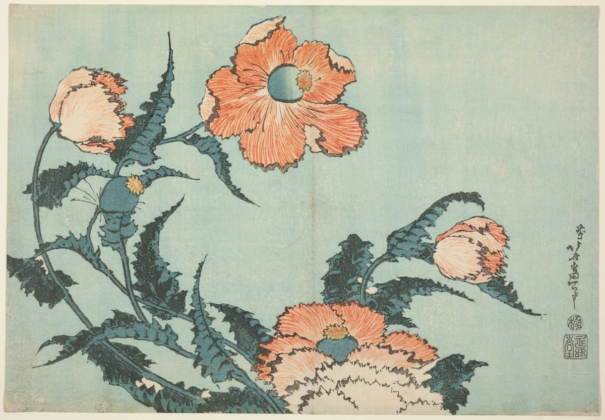 Poppies, from an untitled series of flowers by Katsushika Hokusai (葛飾 北斎), print, 1827-1839
