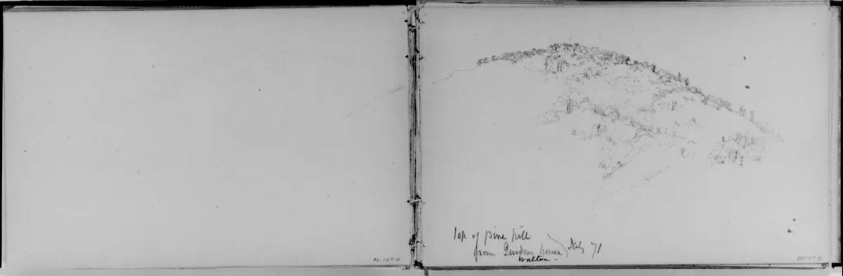 Top of Pine Hill, Walton, 1871 (from Sketchbook) by Daniel Huntington, artwork, 1870