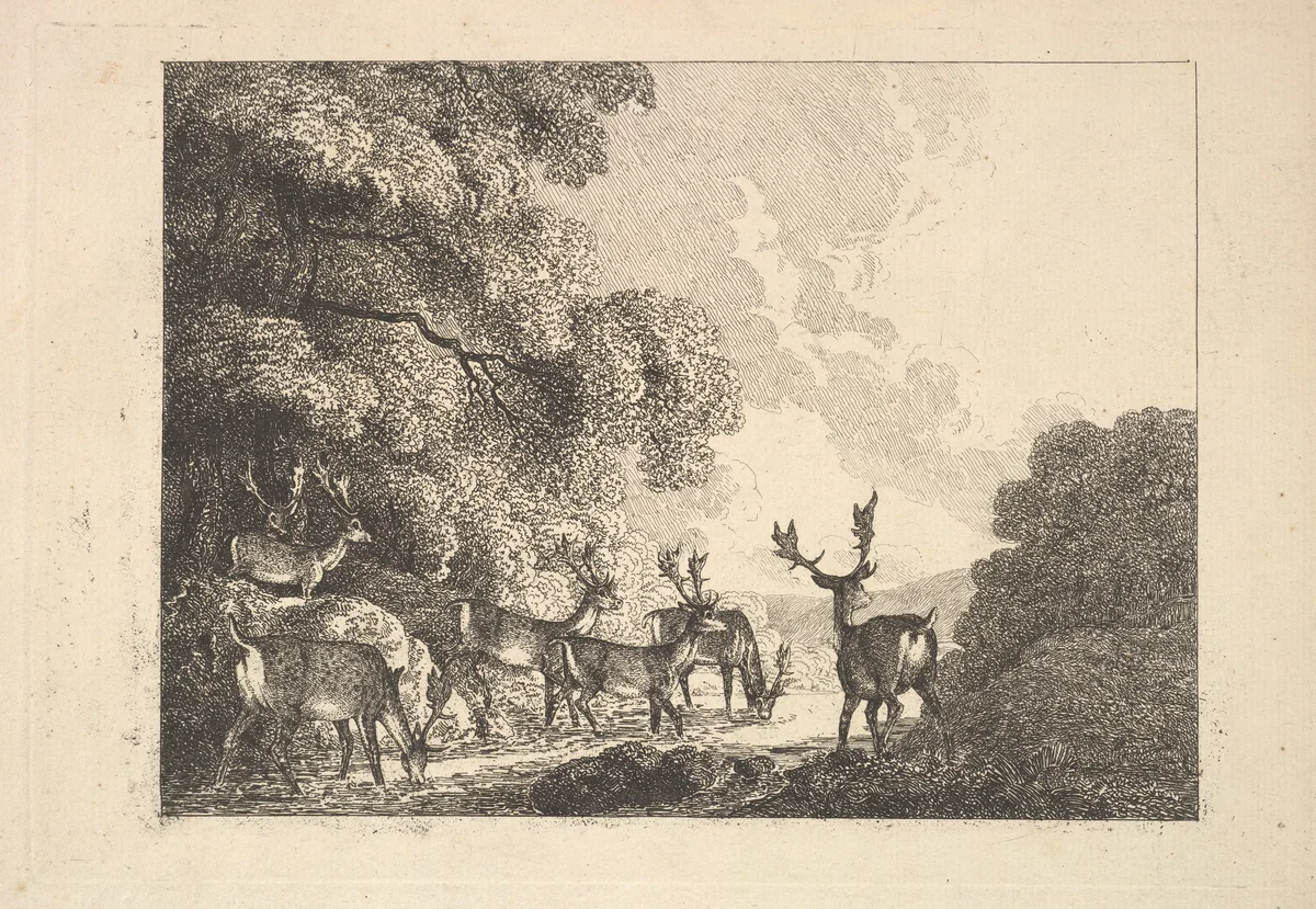 A Group of Stags Drinking by Thomas Rowlandson, print, 1784-1788