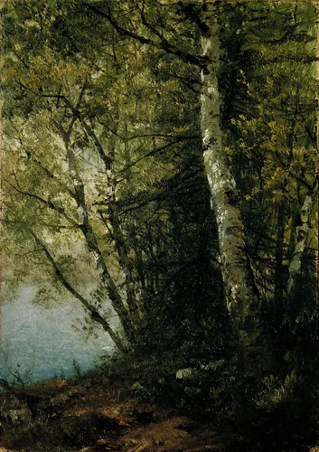 Study of Beeches by John Frederick Kensett, artwork, 1872