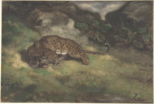 Leopard and Serpent by Antoine-Louis Barye, drawing, 1810-1875
