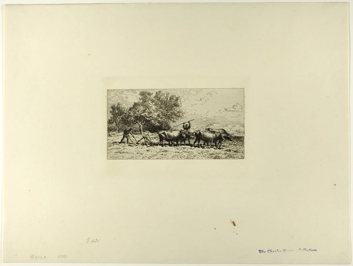 Team of Oxen by Charles-Émile Jacque, print, 1868