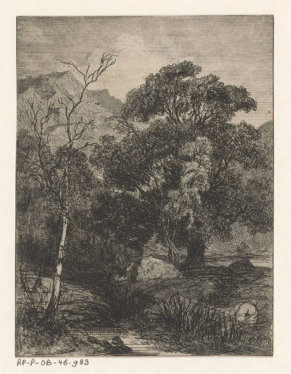 Bos met stromend beekje by Martinus Antonius Kuytenbrouwer jr., print, 1850