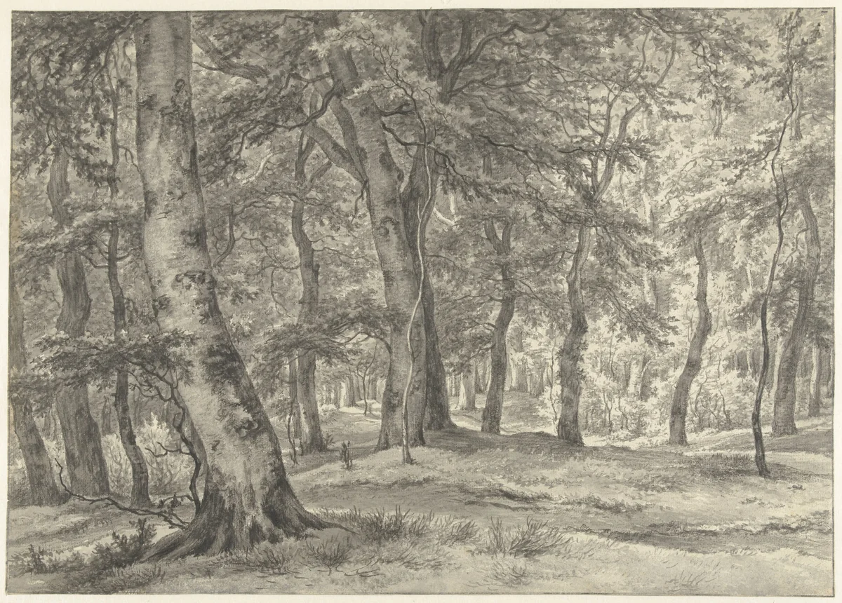 Gezicht in het Haagse Bos by Egbert van Drielst, drawing, 1799