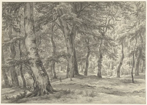 Gezicht in het Haagse Bos by Egbert van Drielst, drawing, 1799