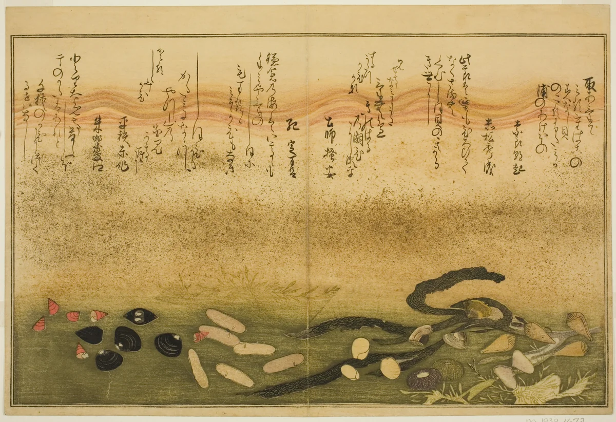 Minashi-gai, shio-gai, katatsu-gai, miso-gai, chijimi-gai, and chigusa-gai, from the illustrated book "Gifts from the Ebb Tide (Shiohi no tsuto)" by Kitagawa Utamaro (喜多川歌麿), print, 1789